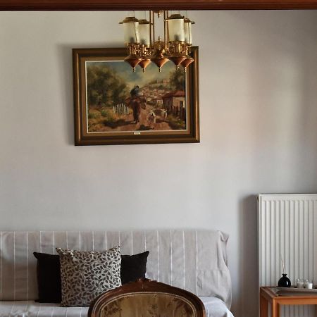 Κεντρικό Και Ευρύχωρο Οροφοδιαμέρισμα Kastoria Esterno foto