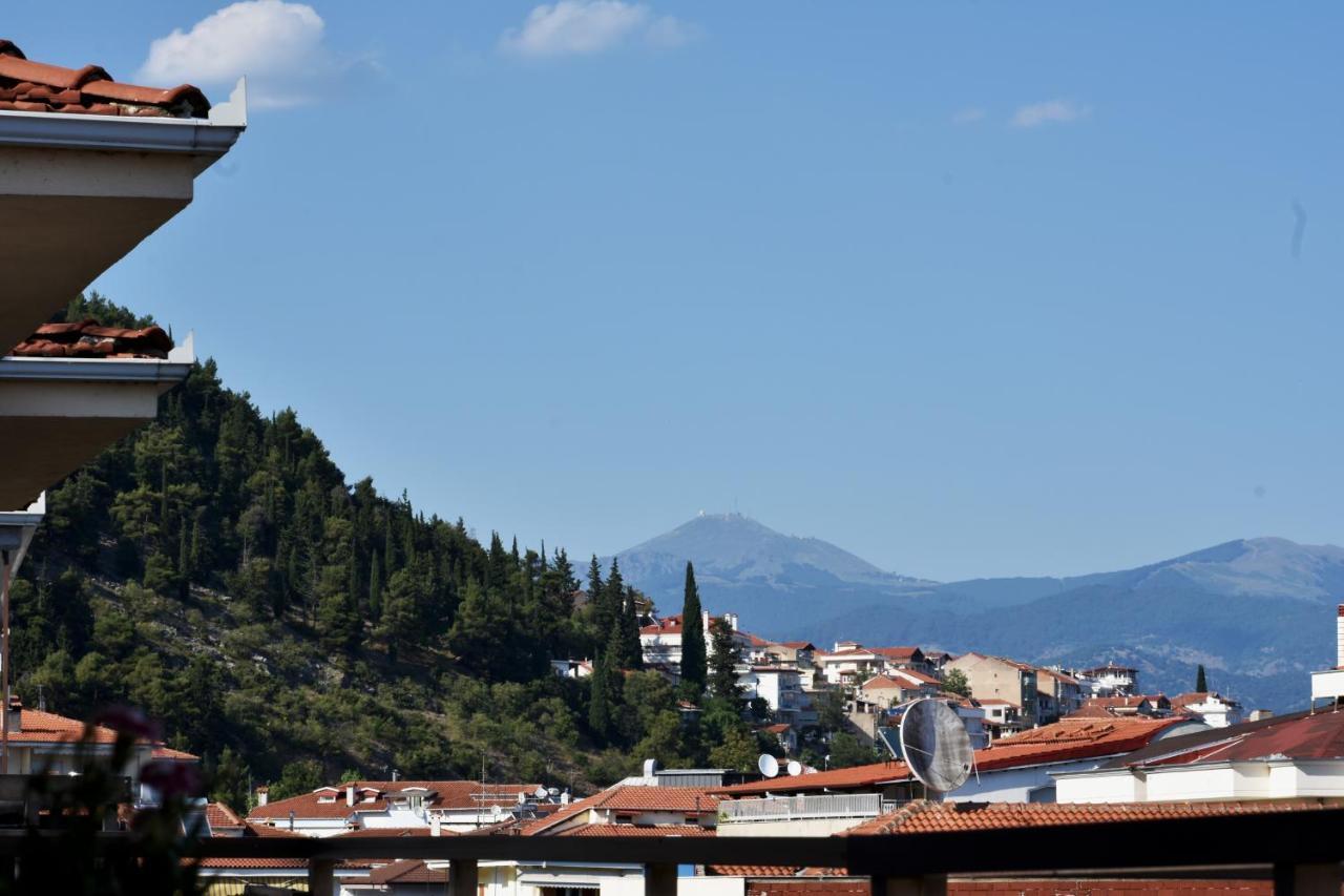 Κεντρικό Και Ευρύχωρο Οροφοδιαμέρισμα Kastoria Esterno foto
